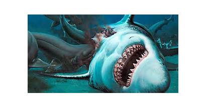 Megalodon Shark Demon Vs Extinct Mega Teeth