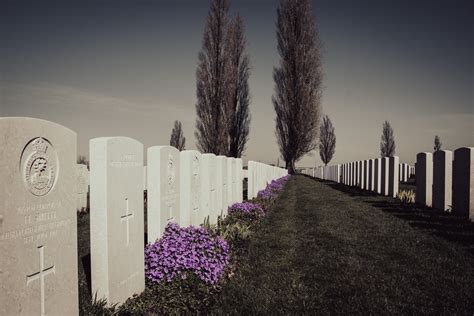 Graveyard Military Cemetery Free Stock Photo Public Domain Pictures
