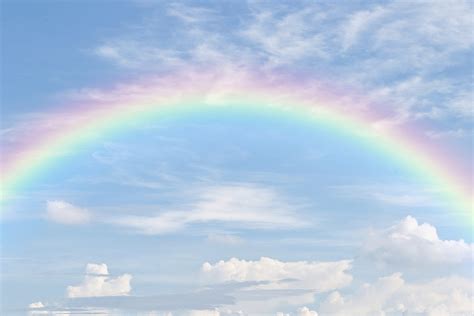 Are You Celebrating Rainbow Bridge Remembrance Day
