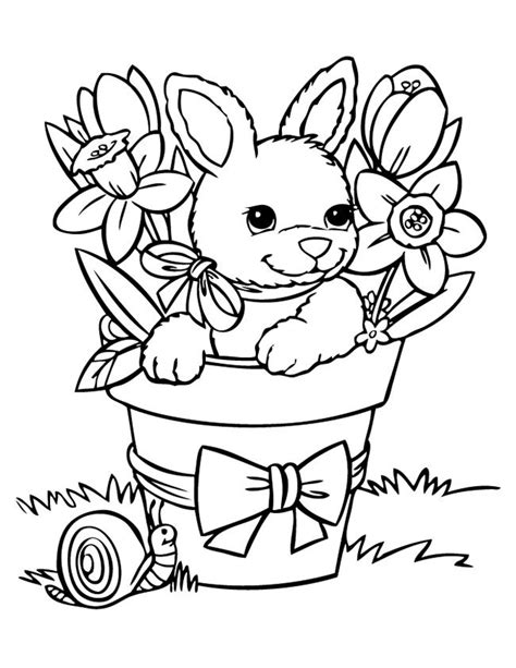 wren and rabbit coloring pages  learny kids