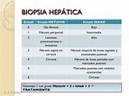 D - Hepatitis B y C 2009