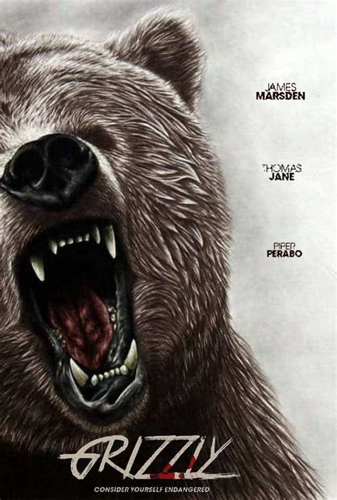 Into The Grizzly Maze Poster Art Horror Movies Horror