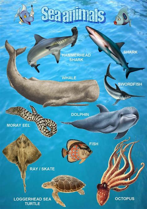 Sea Animals Poster 1 Lessons Pinterest Animal Posters