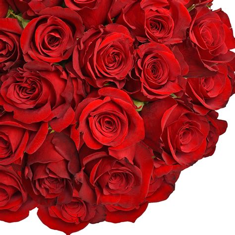 Fresh Cut Red Roses 20 Pack Of 100 By Inbloom Group