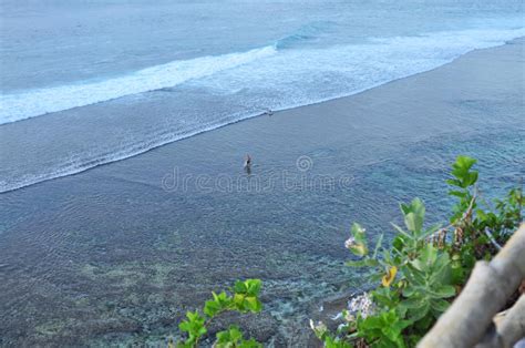Scenic Bali Coast Landscape Stock Image Image Of Plant Serfer 85888545