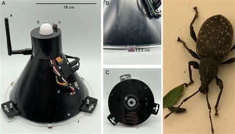 Smart Pest Control Device With ‘eyes And ‘brain Horticulture News