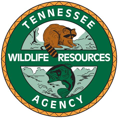 A tennessee fishing license permits you to catch and keep tennessee game fish within legal seasons, size limits and catch limits. TWRA Clarifies Umbrella Rig Regulation for Tennessee Anglers - WRCBtv.com | Chattanooga News ...