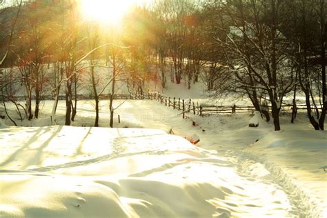 Sunny Winter Day In The Countryside Stock Photo Image Of