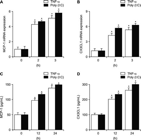 Tnf And Poly I C Induce The Expression Of Mcp And Cx Cl In Download Scientific Diagram