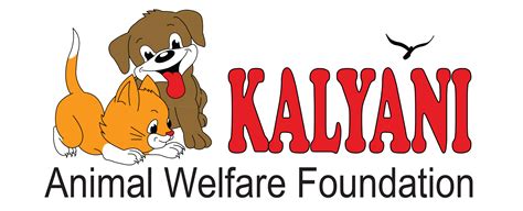 Kalyani Animal Welfare Foundation | Discover NGOs