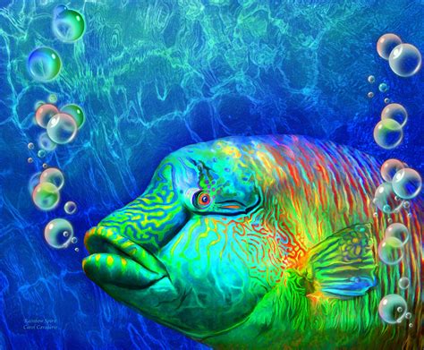 Parrotfish Rainbow Spirit Mixed Media By Carol Cavalaris Fine Art