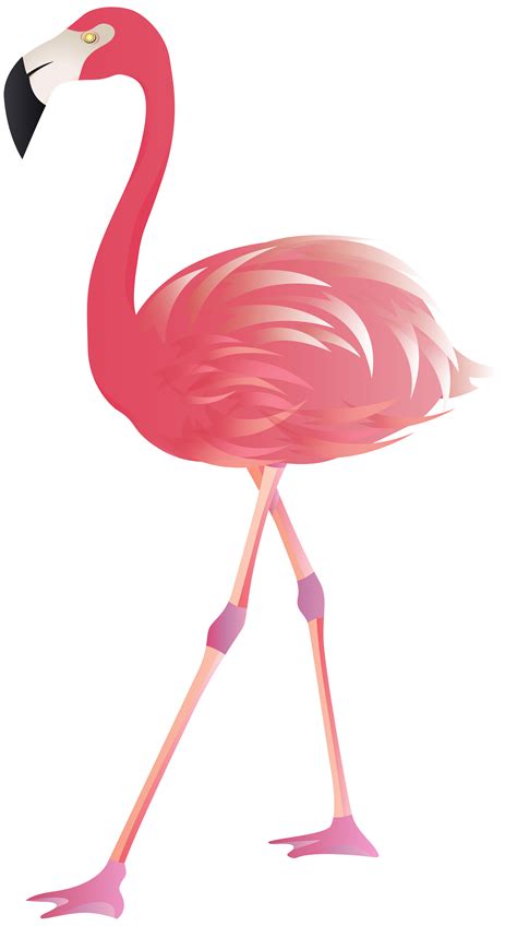Flamingo Vector Clip Art
