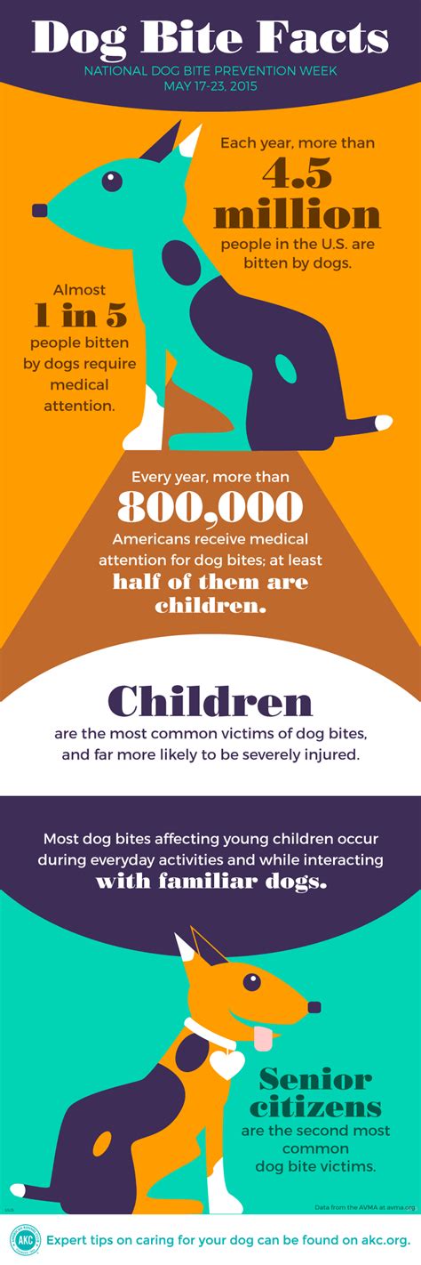 Infographic Dog Bite Facts Taylorhappy