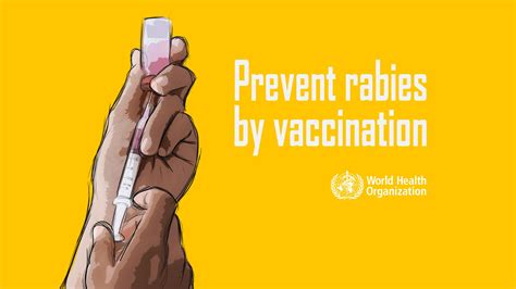 vaccinating against rabies to save lives
