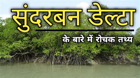 Sunderban Delta Sundarban Delta National Park Sundarban Delta Video
