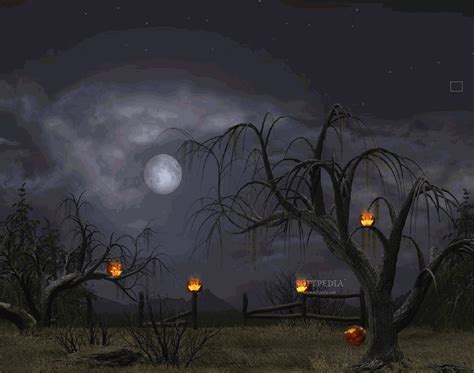 Halloween Night Wallpapers Top Free Halloween Night Backgrounds
