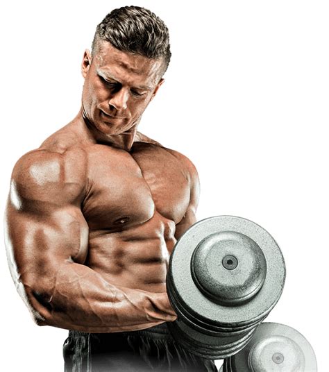 Muscle Png Transparent Image Download Size 937x1061px