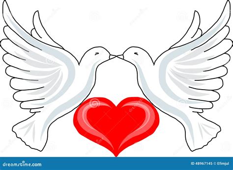 Two Doves With Heart Stock Vector Illustration Of Characters 48967145