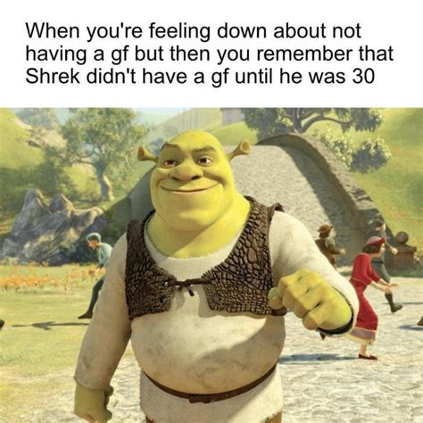 Funny Memes Of The Day To Make Your Laugh 52 Memes Shrek Memes
