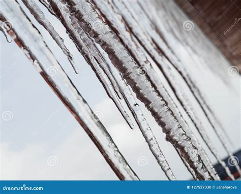 Giant Icicles On The Roof Of The Cottage Stock Photo Image Of Crystal