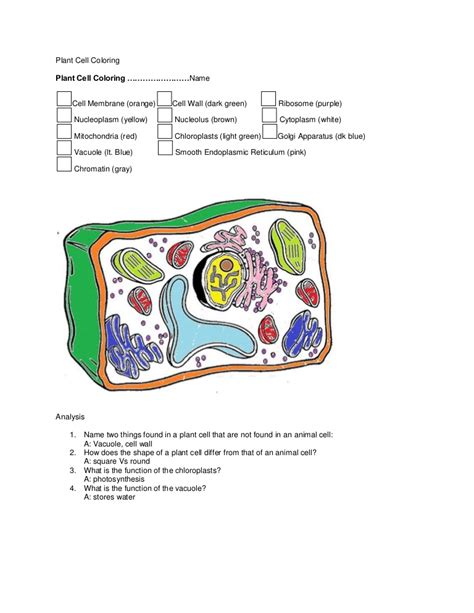 Animal cell model diagram project parts structure labeled. Science home work 9.15.2011