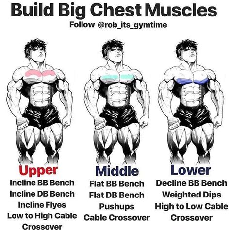 It is seen to tear or cause pain in athletes who perform heavy weight lifting. If you want huge pecs you'll need to challenge all of your chest muscles | Chest muscles ...