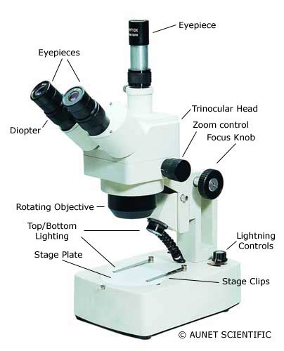 Gambar Mikroskop Beserta Fungsi Dan Keterangannya Bonus