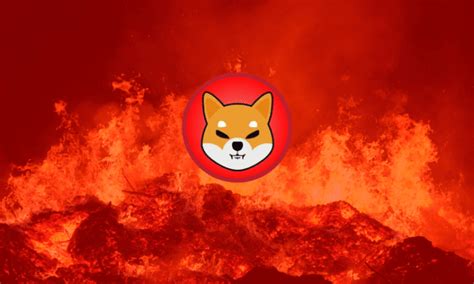 742 Million Shiba Inu Burnt In 24 Hours Burn Rate Up 6793
