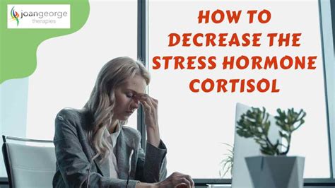 How To Decrease The Stress Hormone Cortisol Jg Therapies Vlog