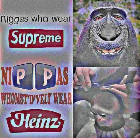 Supreme Memes On The Rise And Will Peak Soon Rmemeeconomy