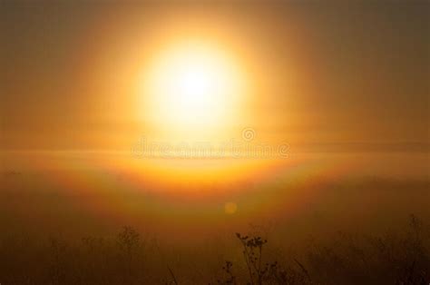 Early Sunrise With Ground Fog And Clear Skies Stock Image Image Of