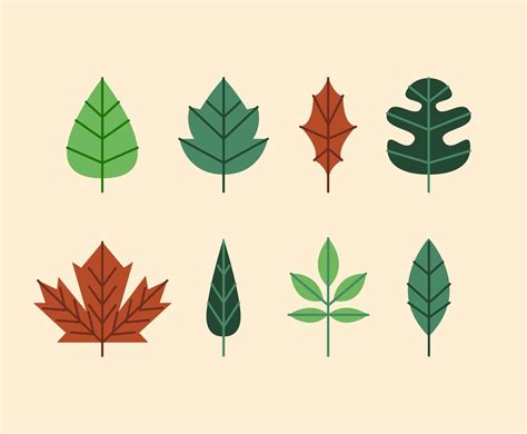 Green Leaves Clipart Set Vector Vector Art And Graphics
