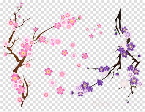 Cherry Blossom Vector Transparent At Collection Of