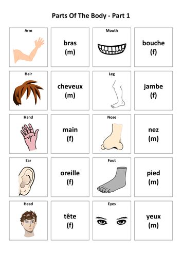 Parts Of The Body French Vocabulary Card Sort Teaching Resources