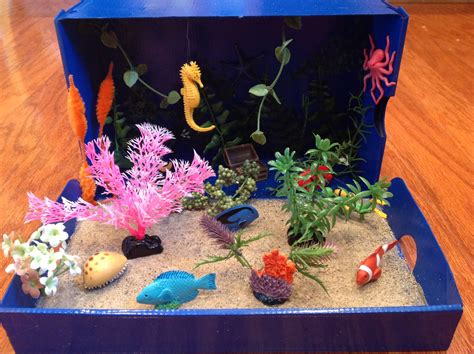 Coral Reef Diorama We Made For First Grade School Project Ocean