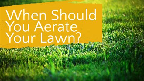 How Often Should You Aerate Your Lawn Backyardworkshop Com