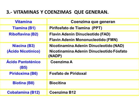 Bioquimica 2do AÑo Oficial Enzimas Coenzimas Y Vitaminas