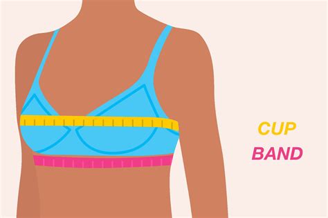 how to measure your bra size at home for a perfect fit glamour uk