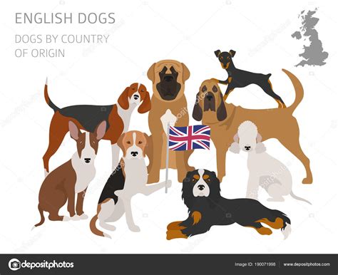 Dogs By Country Of Origin English Dog Breeds Infographic Templ