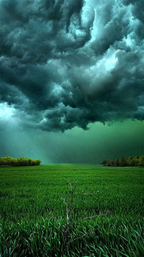 Green Wheat Field Rain Clouds Sky Wallpapers Wallpaper Cave