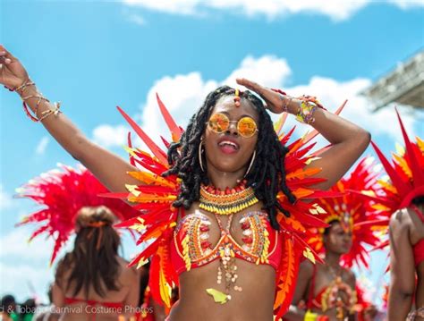 15 Favorite Carnival Looks Locs Faux Locs And More Locs Life