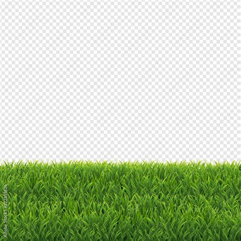 Tổng Hợp 999 Background Green Grass Chất Lượng Cao Tải Miễn Phí