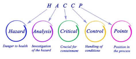 Best Haccp Practices In Restaurants Premier Handling Solutions
