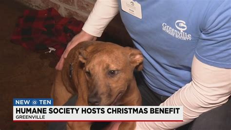 Greenville Humane Society Hosts Benefit Youtube