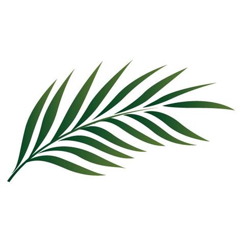 Maybe you would like to learn more about one of these? Palm leaf outline liked on Polyvore featuring filler ...
