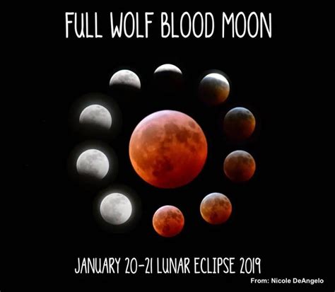 10 Lunar Eclipse 2019 Photos Of The Super Wolf Blood Moon Just In Weather