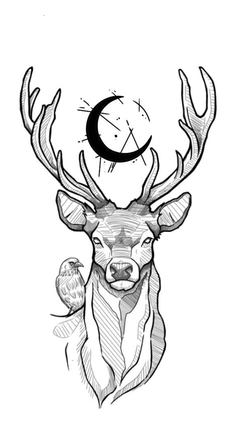 A Drawing Of A Deers Head With The Moon In The Middle Of Its Antlers