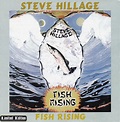 Steve Hillage – Fish Rising (1999, CD) - Discogs