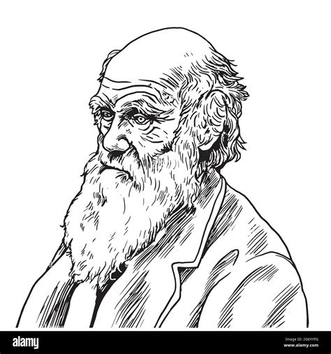 Charles Darwin Drawing Stock Vector Images Alamy