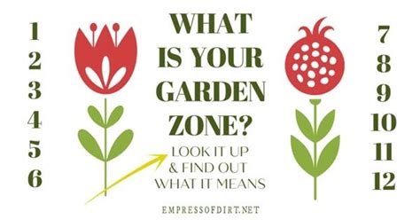 How To Find And Understand Your Plant Hardiness Zone Empress Of Dirt